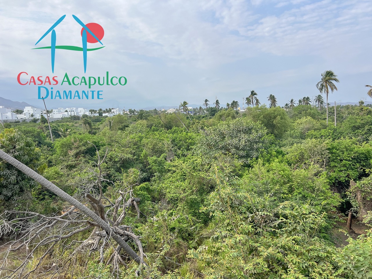 Residencial Palima Caryota 5 - Roof garden 5